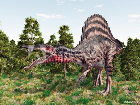 Picture of Dinosaur Spinosaurus